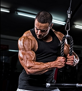 Rope Tricep Extension