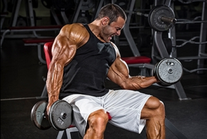 Seated Dumbbell Curls